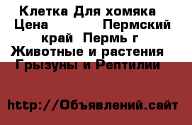 Клетка Для хомяка › Цена ­ 1 000 - Пермский край, Пермь г. Животные и растения » Грызуны и Рептилии   